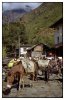 9/nepal 48.jpg